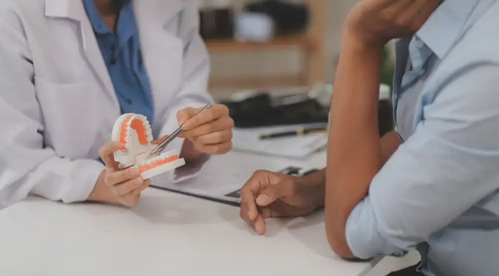 A dentist in a white coat uses a tooth model and dental tool to clearly explain dental care to a patient sitting across the desk.